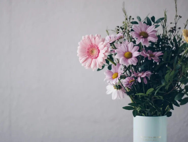 Kukkia lahjaksi äitienpäivänä.