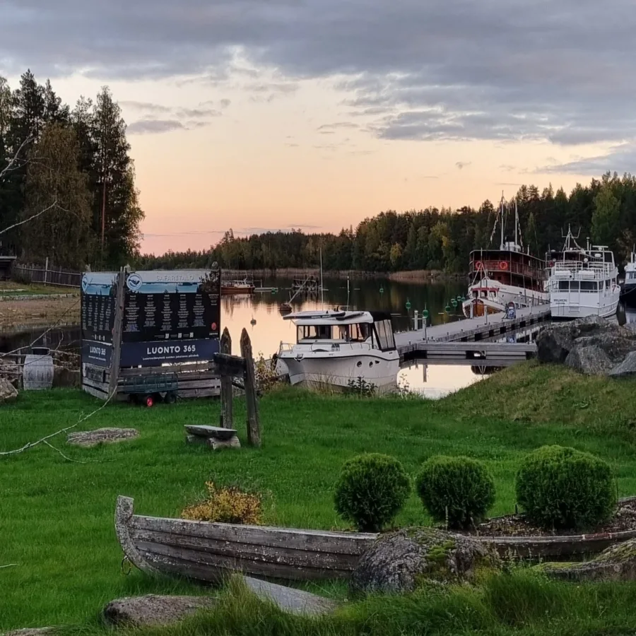 Järvisydän kokemuksia
